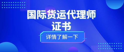 國際貨運(yùn)代理師證 考試難度、核心職責(zé)與證書價(jià)值全解析